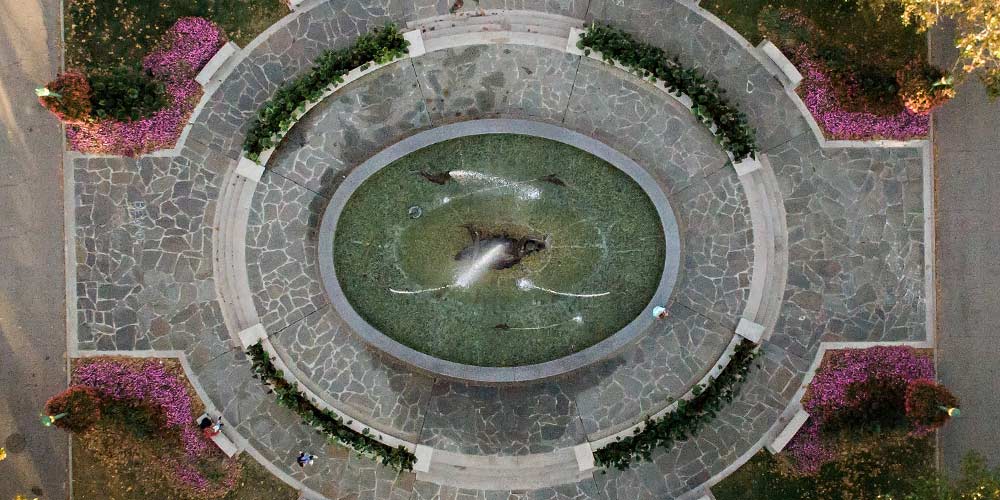 An aerial shot of the Showalter fountain with purple flowers.